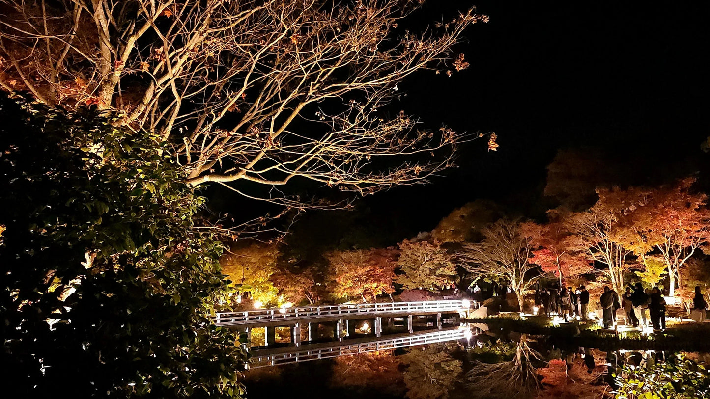 🌙 Autumn Illumination at Showa Kinen Park